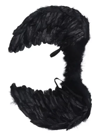 FEATHER Wing SMALL BLACK