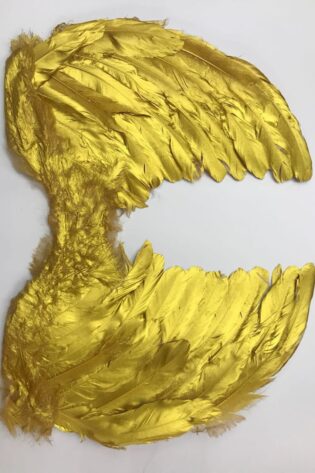 FEATHER Wing SMALL GOLD