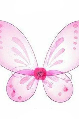 LIGHT PINK FAIRY WINGS