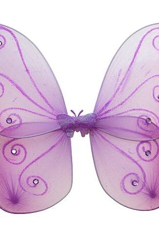 PURPLE FAIRY WINGS