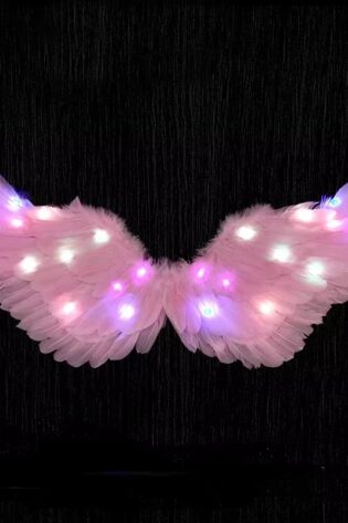 LIGHT PINK LIGHT UP WINGS