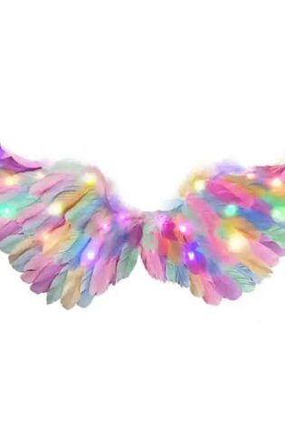 MULTICOLOR IN PURPLE LIGHT UP WINGS