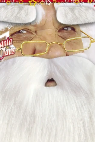 SANTA BEARD