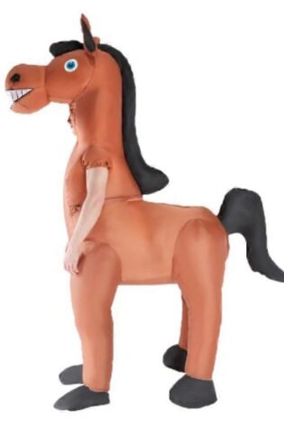 INFLATABLE HORSE