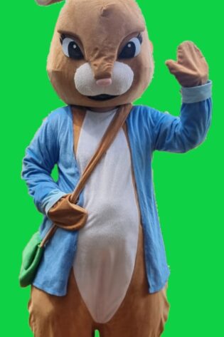 PETER RABIT MASCOT- BROWN