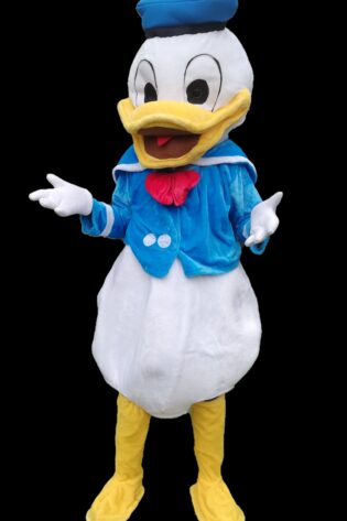 Donald Duck character Mascot