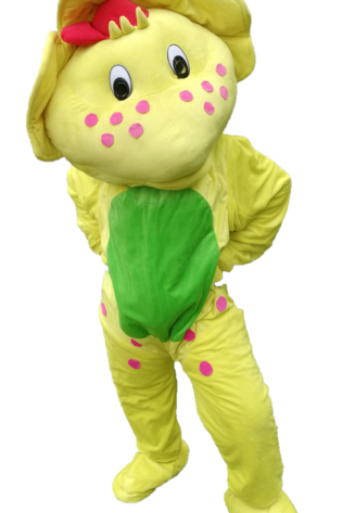 BJ Mascot Costume for Hire (Barney Theme)