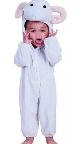 sheep/ram style animal costume - sale