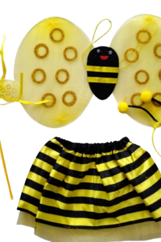 bee kids set with tutu -sale