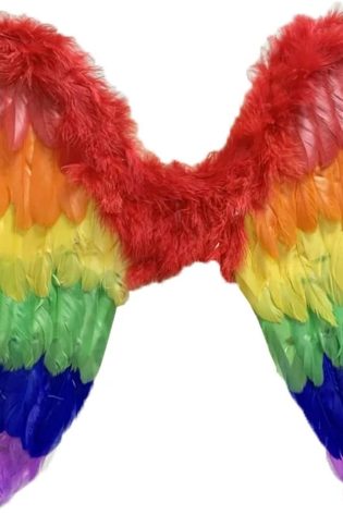 RAINBOW FEATHER BIRD WINGS - SALE