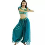 Adult Princess Jasmine costume