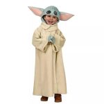 Kid in Baby Yoda costume